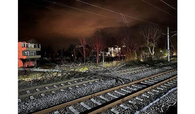 Sakarya'da demir yoluna devrilen ağaç ulaşımı aksattı