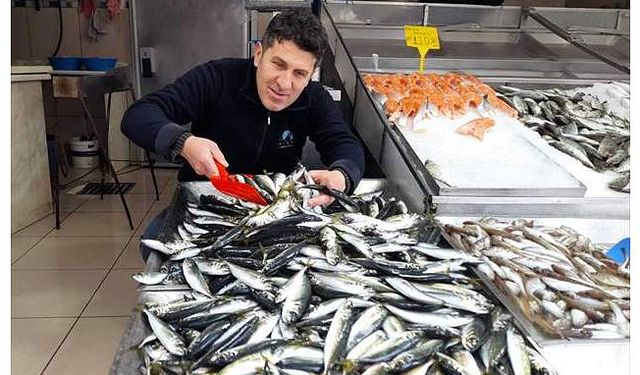 Sinop'ta bol avlanan istavrit kıyı balıkçılarını sevindirdi