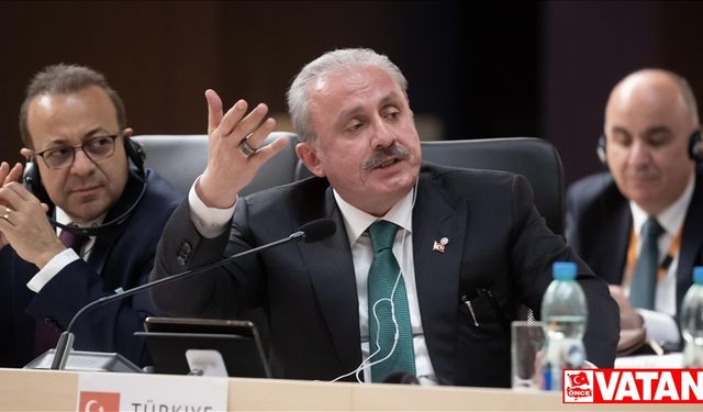 TBMM Başkanı Şentop'tan Rum Yönetimi Meclis Başkanı Dimitriu'ya tepki