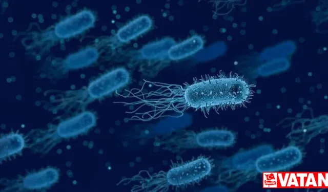 Bilim insanları, yapay zekayla süper bakteriye karşı yeni antibiyotik geliştirdi