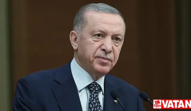 Cumhurbaşkanı Erdoğan, depremzedelere ilişkin olumsuz tavır ve davranışlara tepki gösterdi