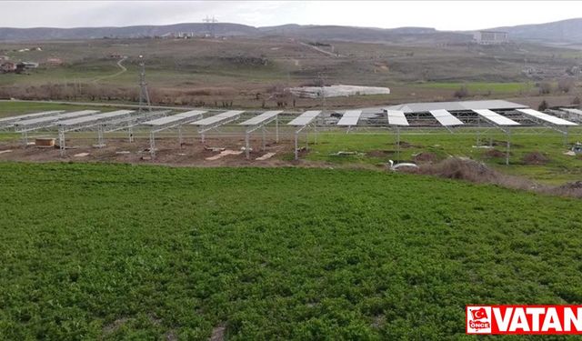 Türkiye'nin ilk açık alanda Tarım GES uygulaması Ankara'nın Ayaş ilçesinde elektrik üretmeye başlıyor
