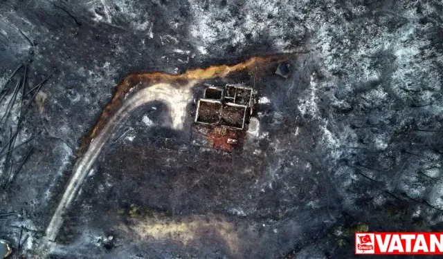Yunanistan orman yangınları: Yunan Ormanında on sekiz ceset bulundu
