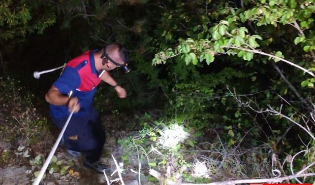 Sinop'ta ormanda mahsur kalan kişi itfaiye ekiplerince kurtarıldı