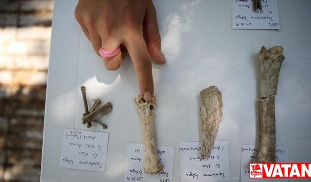 Şapinuva'daki arkeolojik kazıda Hititlerin beslenme alışkanlıkları araştırılıyor