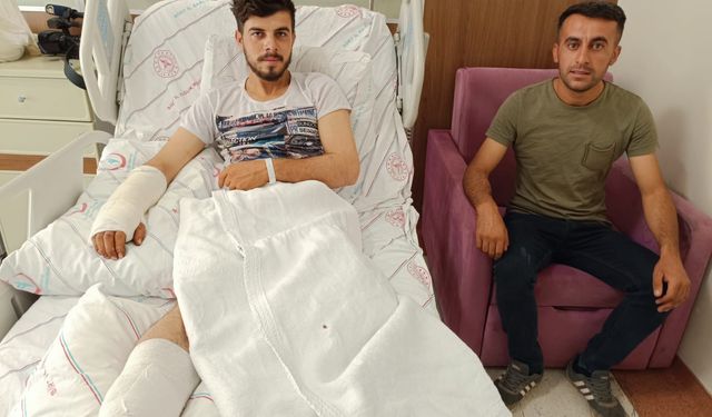 Siirt'te çobanlık yapan genç ayı saldırısı sonucu yaralandı