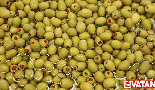Türkiye'nin sofralık zeytin ihracatı 184,5 milyon doları buldu
