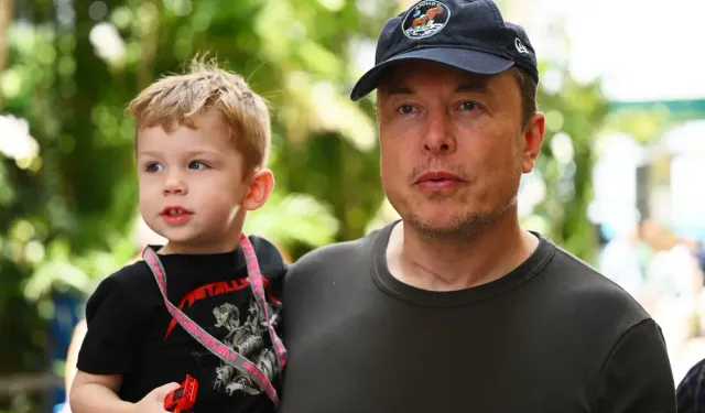 Elon Musk, velayet davasını Texas'ta sürdürmek için mücadele ediyor