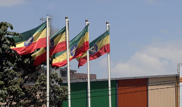 Etiyopya'daki 50 yıllık isyan hareketi yine bitirilemedi