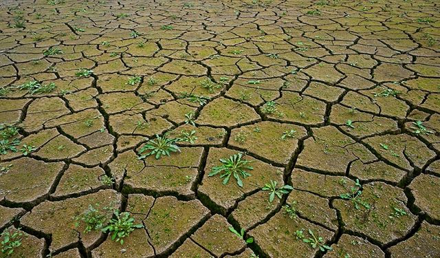 Guterres: Dünya iklim krizini kontrol altına almakta başarısız oluyor
