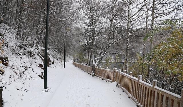 Ankara'nın Karagöl Tabiat Parkı beyaza büründü