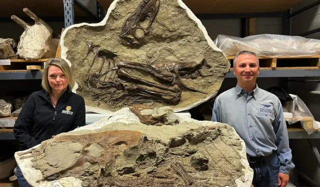 Tyrannosaur'un son yemeği iki yavru dinozordu