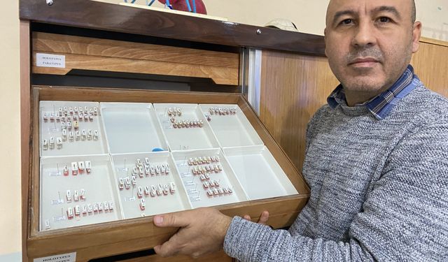 Sivas'taki Yıldız Dağları'nda yeni bir böcek türü keşfedildi