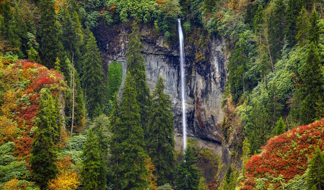 Doğu Karadeniz’in doğal sit alanı Papart Vadisi