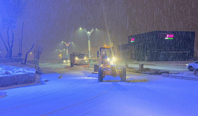 Van'da 138 yerleşim biriminin yolu kardan kapandı