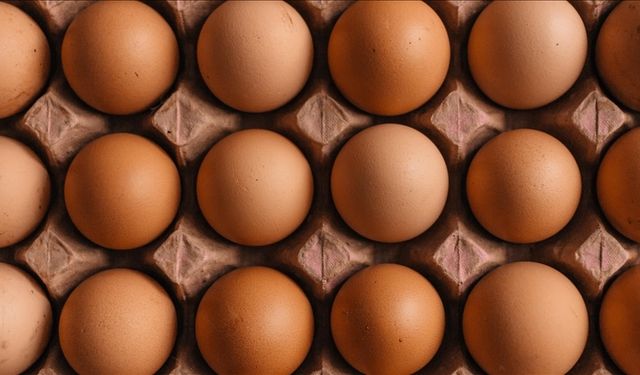 Rusya: Türkiye’den vergisiz ithal edilecek yumurtalar iki üç haftaya gelecek