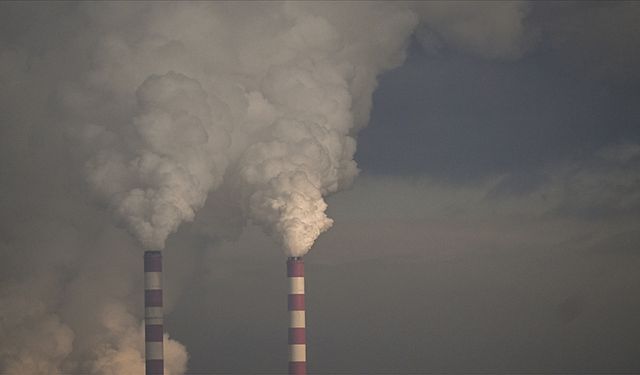 IEA: Küresel kömür talebi bu yıl zirve yapacak ve 2026'da düşüşe geçecek