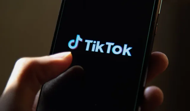TikTok'un küresel güvenlik ve güvenilirlik başkanlığına yeni bir lider geliyor