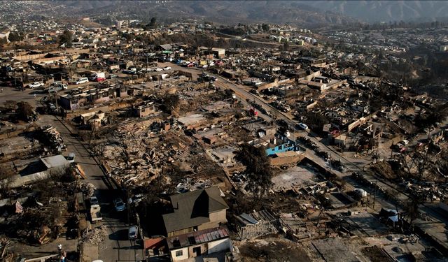 Şili'de devam eden orman yangınlarında yaşamını yitirenlerin sayısı 131'e yükseldi