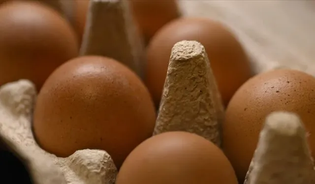 Yumurta fiyatları "mayıs çukuru"na yuvarlandı