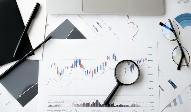 Halka Arz Nedir? Halka Arz Süreci Nasıl İlerler?