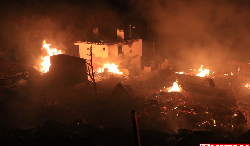 Kastamonu'da 47 köy evini etkileyen yangın söndürüldü