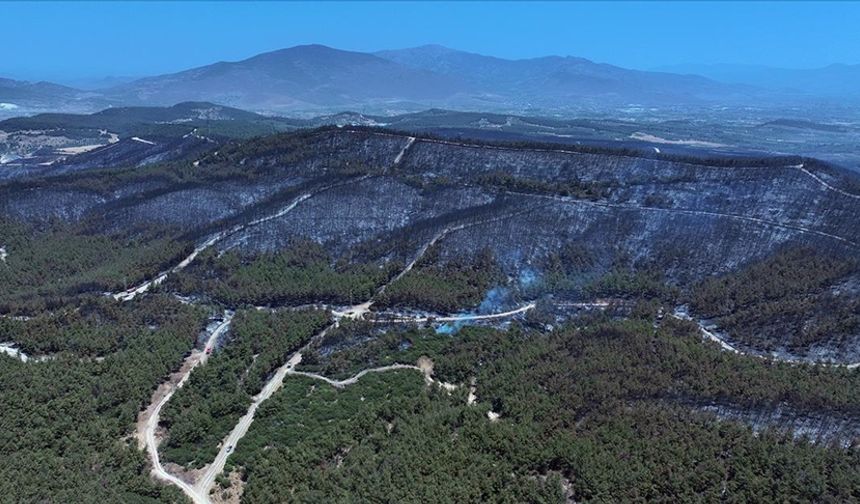 İzmir'de yanan orman alanı havadan görüntülendi