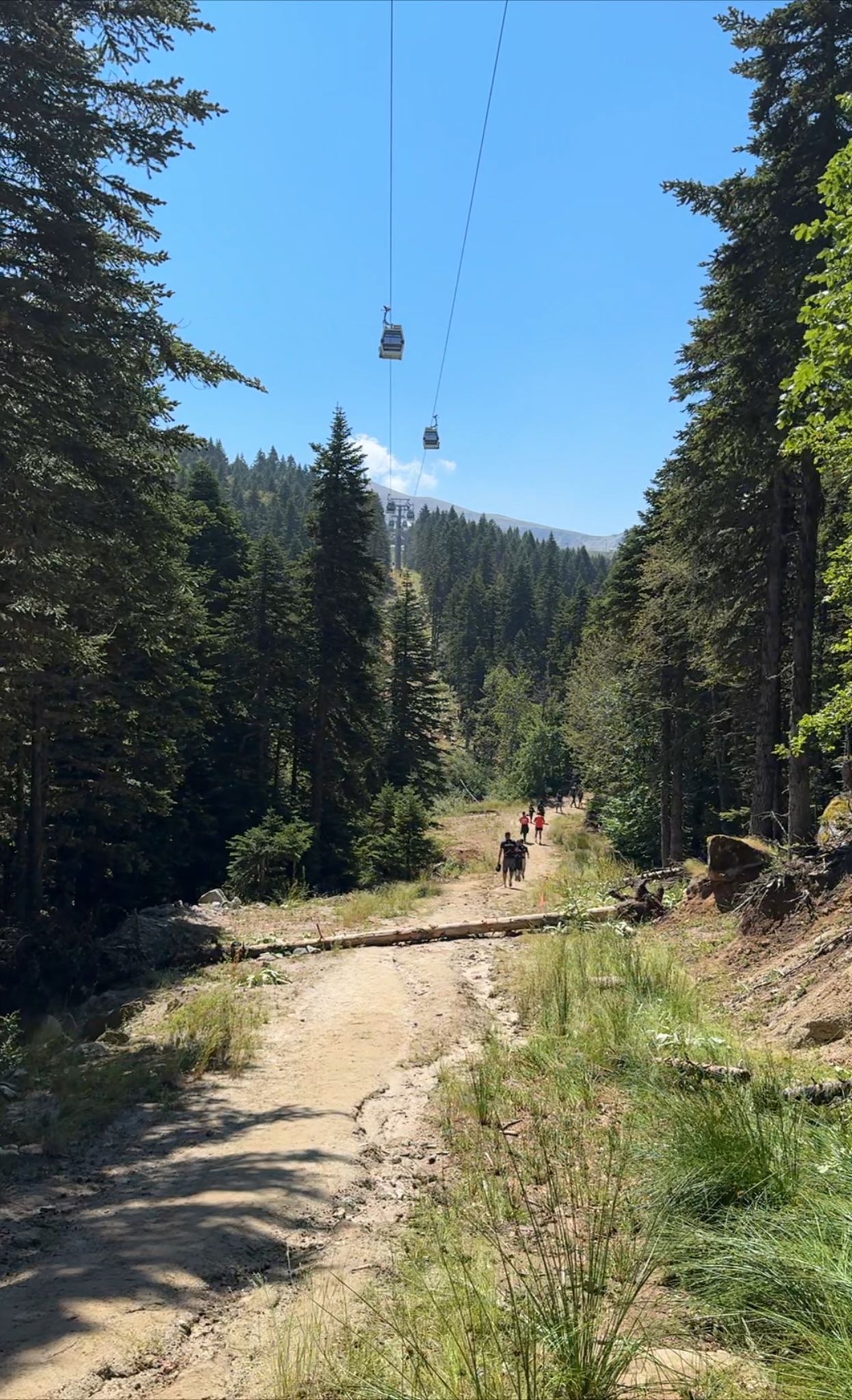 Teleferik Genel