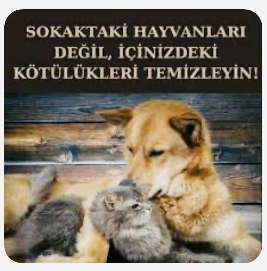 Whatsapp Image 2024 07 31 At 11.24.55